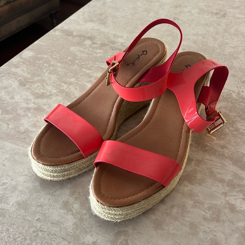 Salmon color wedges